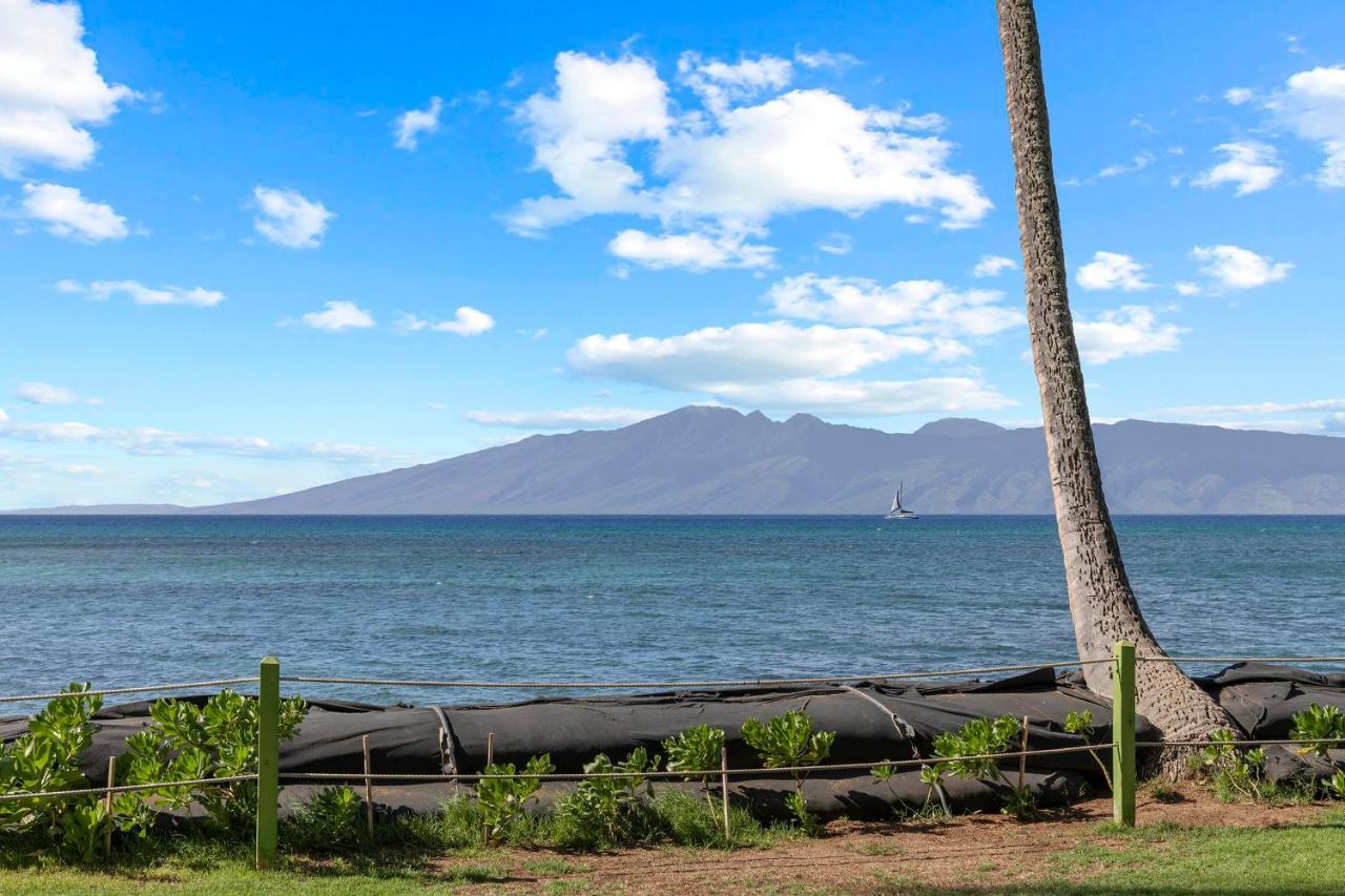 Incredible Beachfront 1Br - Sleeps 4 Awesome Location And In The Center Of Restaurants Many Beaches Golf And More Villa Kahana Екстериор снимка